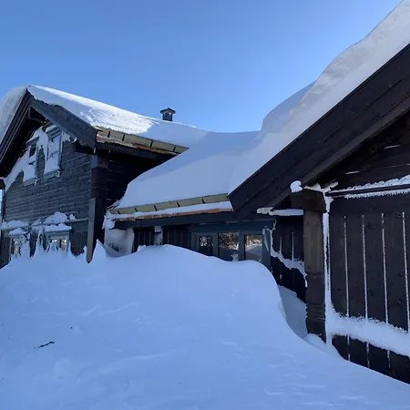 Spacious And Stylish Mountain - *