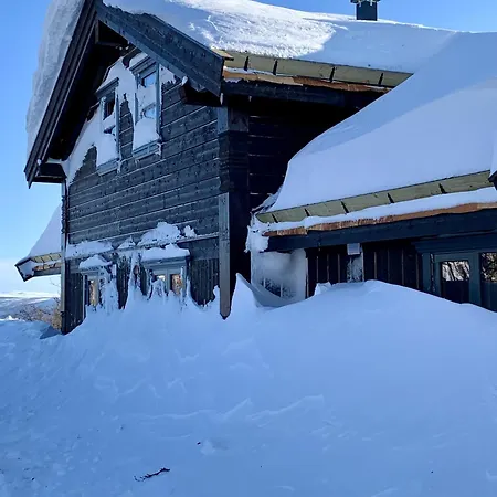Spacious And Stylish Mountain - *